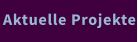Aktuelle Projekte